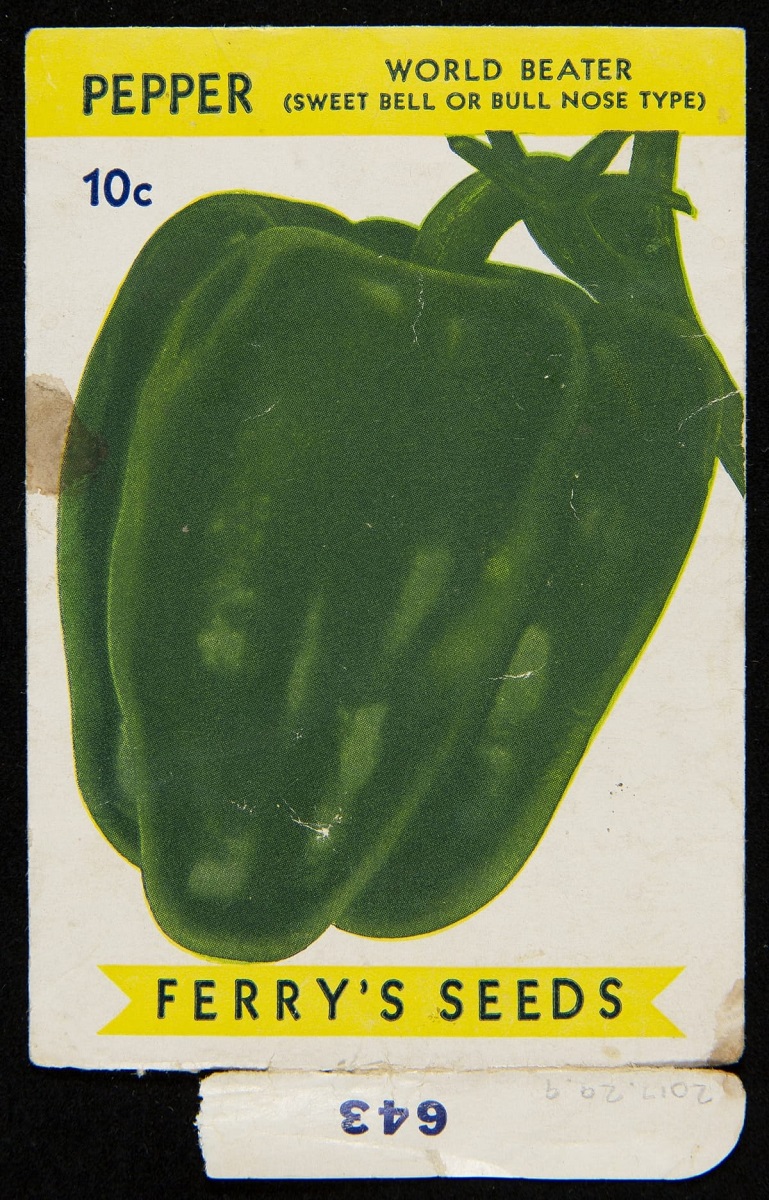 Seed packet with yellow bands with text at top and bottom and large image of green bell pepper