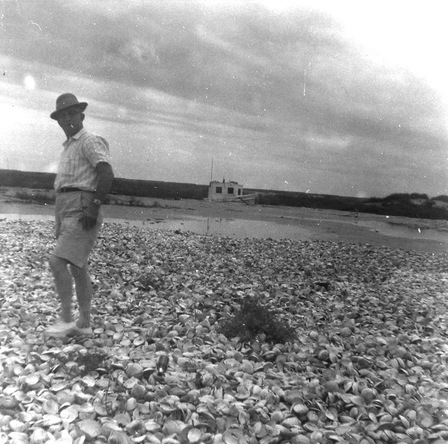 Black-and-white photo of a man wearing shorts, a short-sleeved button down shirt, and a hat walks across a beach made of oyster shells