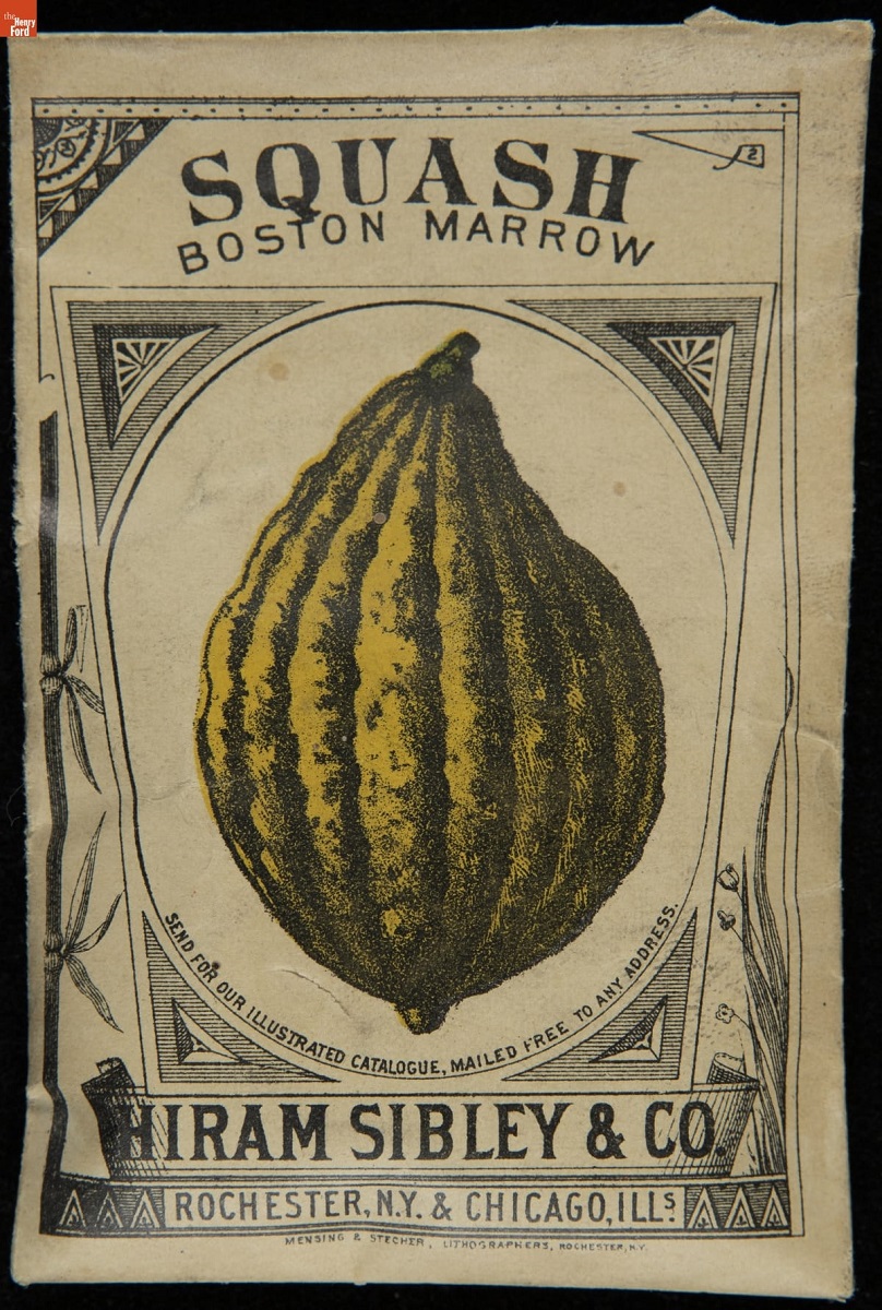 Hiram Sibley & Co. "Squash Boston Marrow" Seed Packet, Used in the C.W. Barnes Store, 1882-1888 Seed packet with text and image of gourd-shaped greenish-yellow squash
