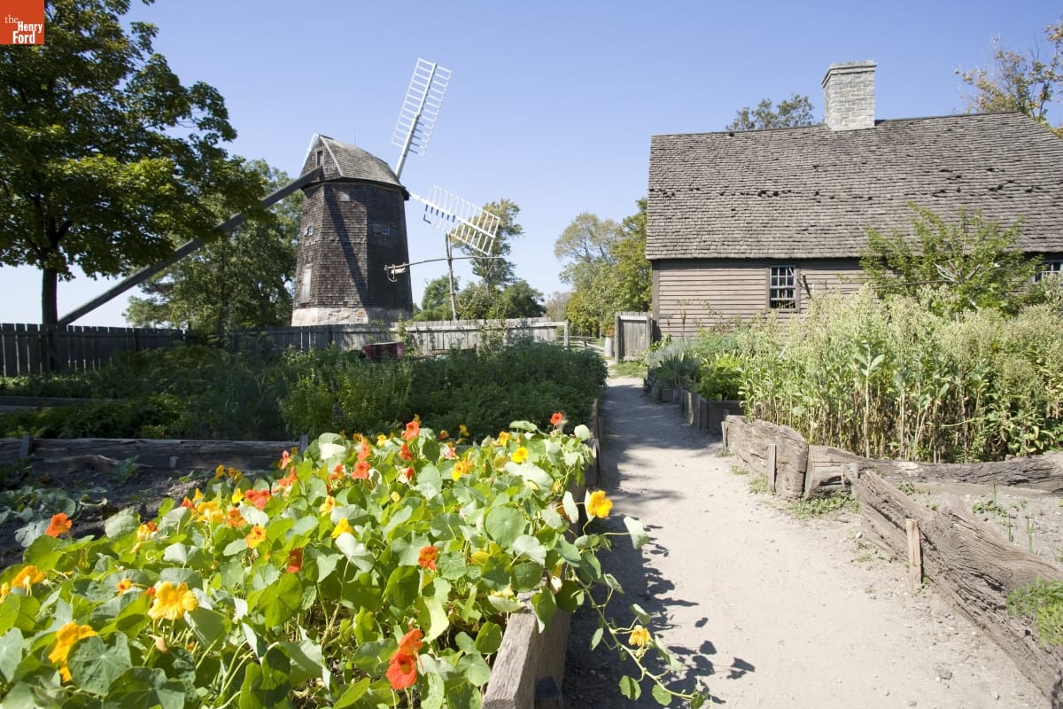 Daggett Farm in Greenfield Village, September 2007 / Photographed by Michelle Andonian Garden with raised wooden beds containing nasturtiums and other plants, with wooden building and windmill in the distance