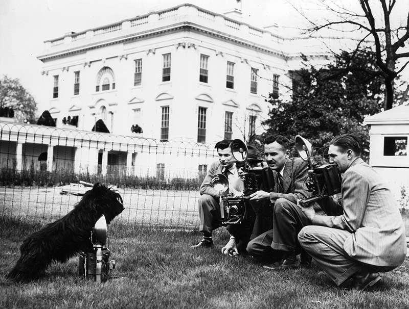 Black-and-white photo of Scottie dog with front paws on camera, facing several kneeling men with cameras, in front of a large imposing building
