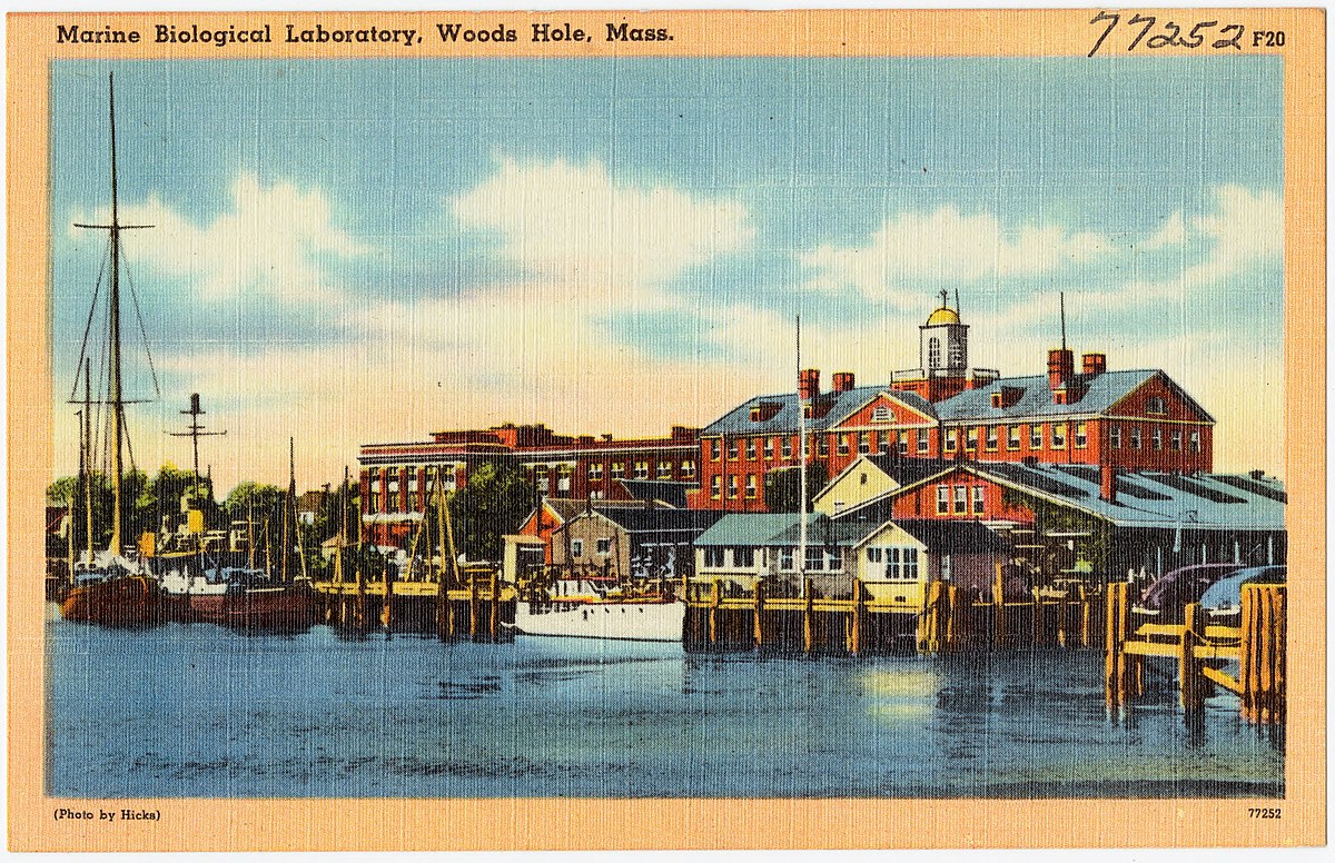 Postcard showing dockside scene with boats and buildings