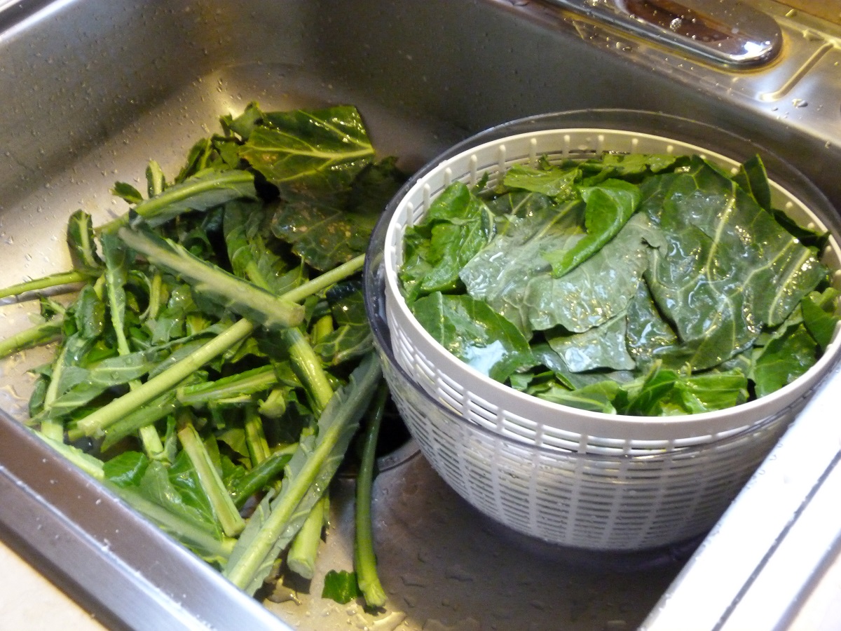 Collard green spines laying in sink, with leaves in a salad spinner next to them