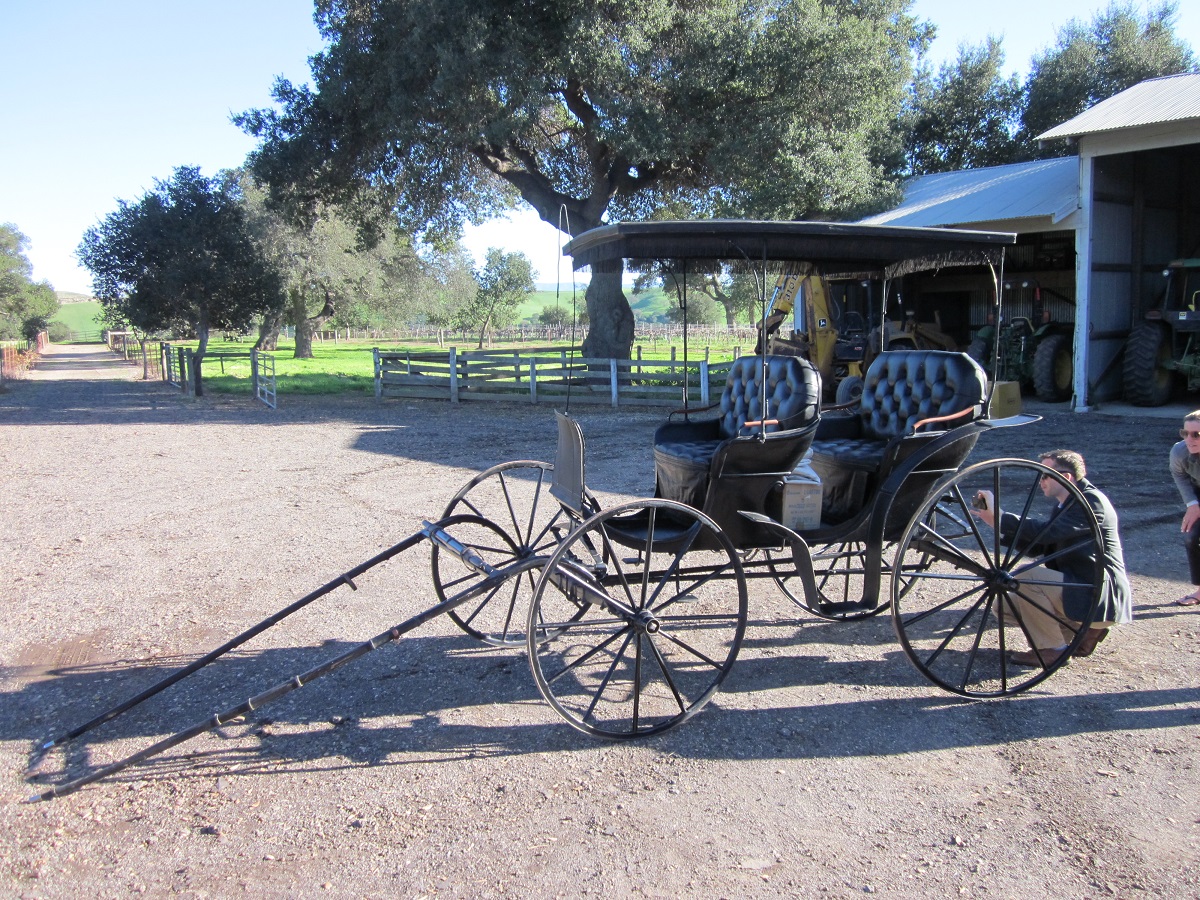 Open-sided carriage in gravel yard with greenspace, trees, and garage visible in background
