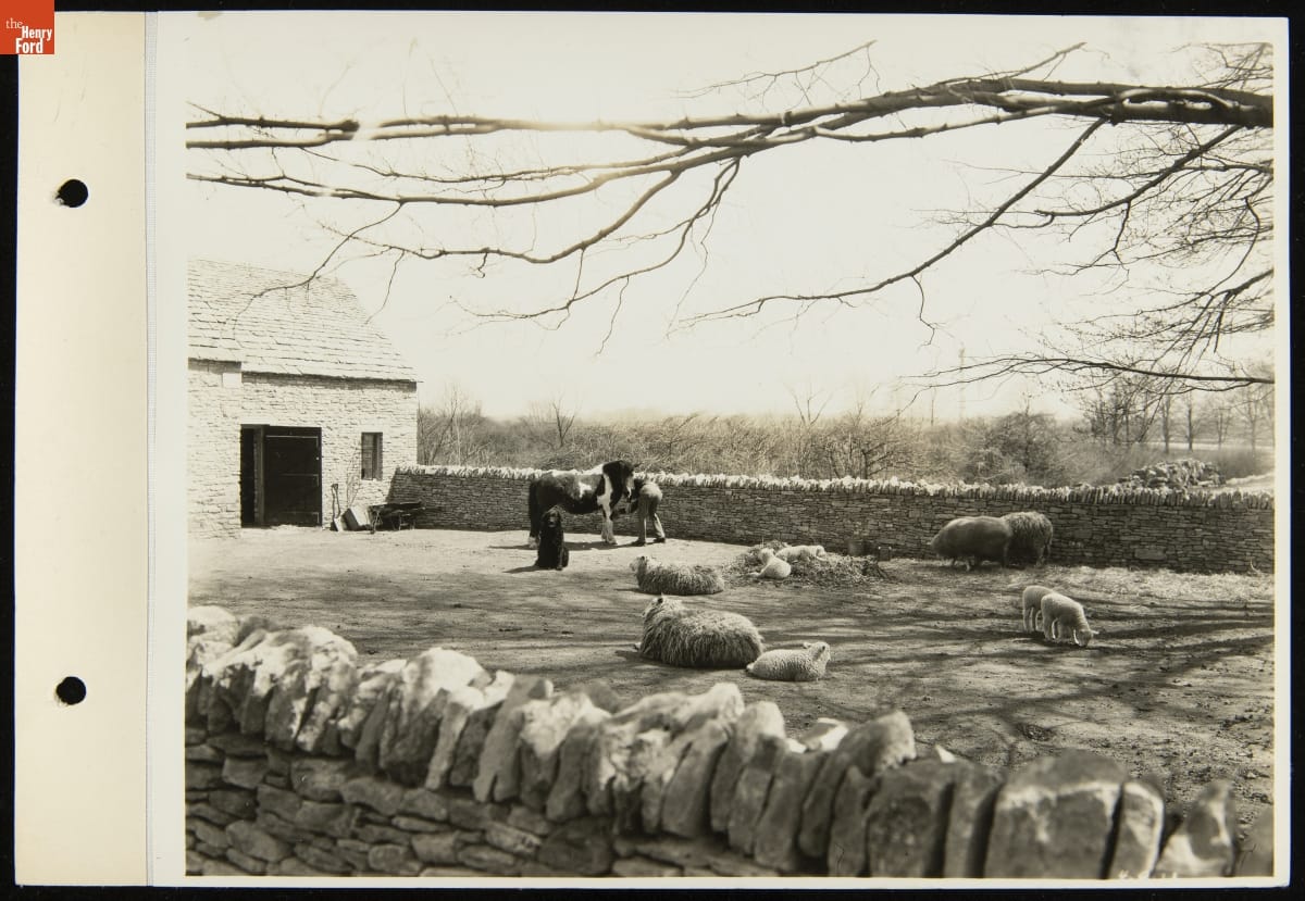 Man, horse, dog, and sheep in yard fenced in by stone wall and a stone barn