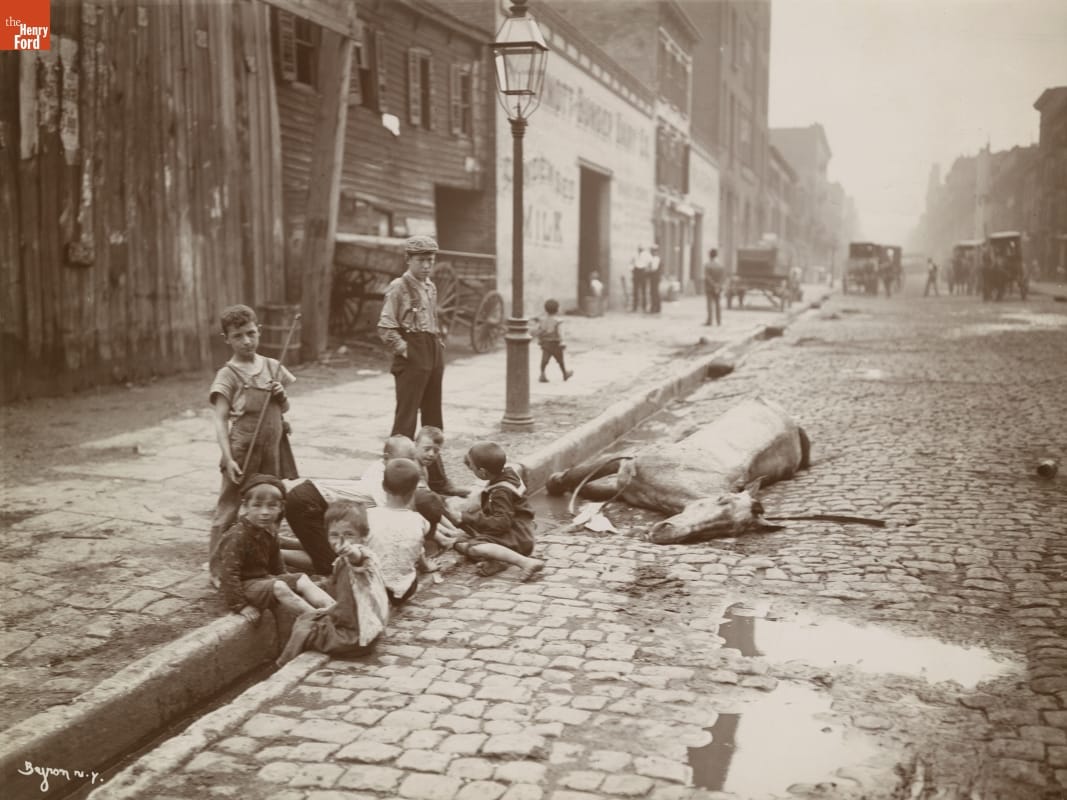 City street scene in which a group of children sit and stand by a street curb; a dead horse lies near them at the side of the road