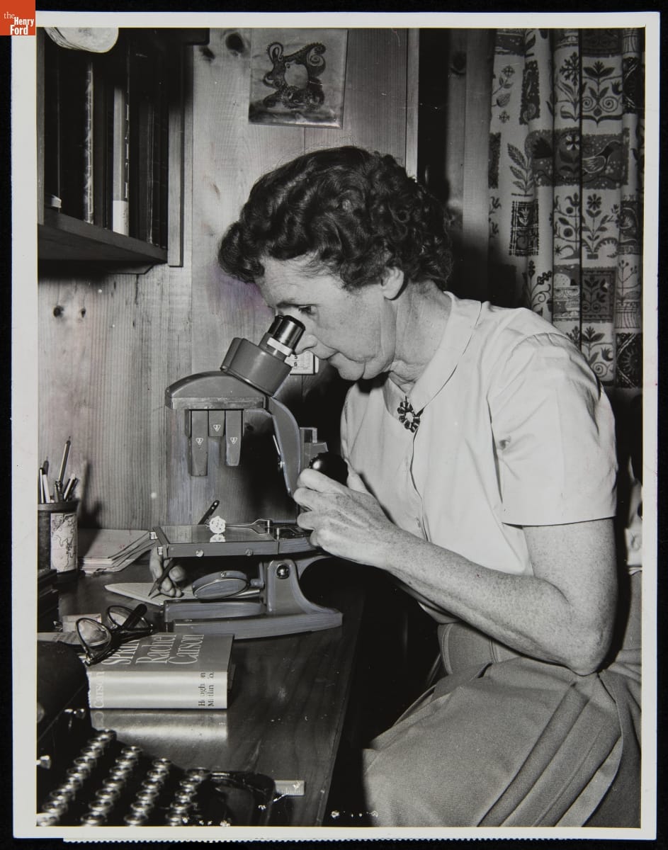 Woman looks into a microscope