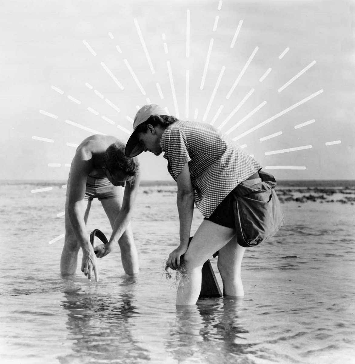 Woman and man stand calf-deep in water, peering down, with beach/rocks visible behind them