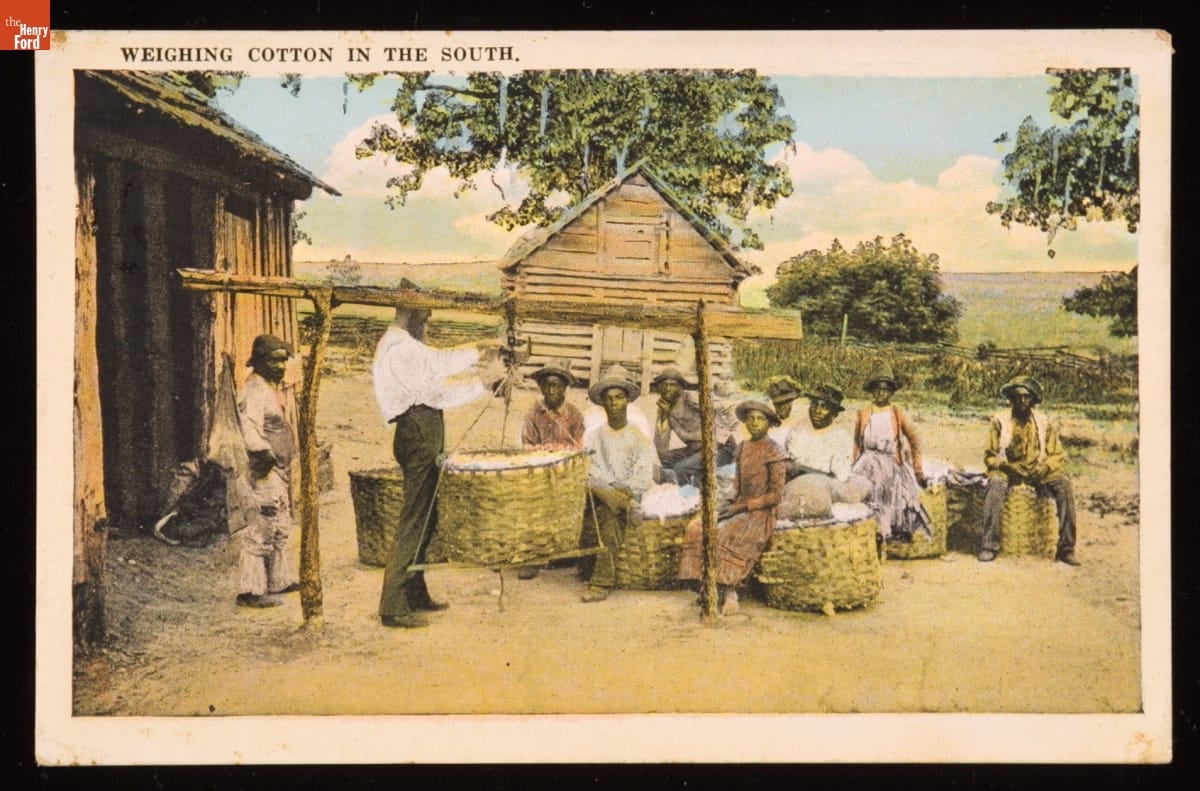 Cotton is King, Plantation Scene, Georgia, 1895 Man hooks large basket up to a wooden framework in a clearing among buildings and trees as other people with baskets sit nearby