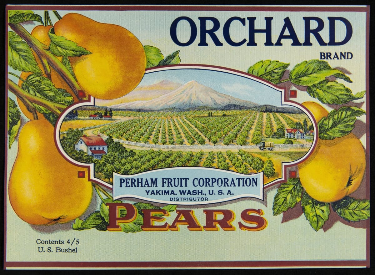 Crate Label, "Orchard Brand Pears," 1920-1930 Colorful illustration of yellow pears and rows of trees with mountains in the background, also contains text