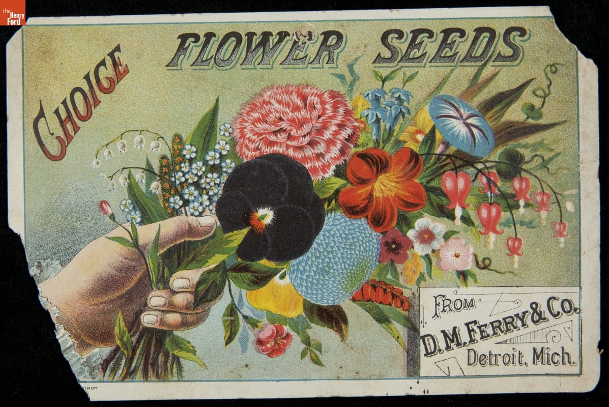 Trade Card for Choice Flower Seeds, D.M. Ferry & Co., 1880-1900 Card with ripped corners depicting a hand holding a bouquet of flowers; also contains text