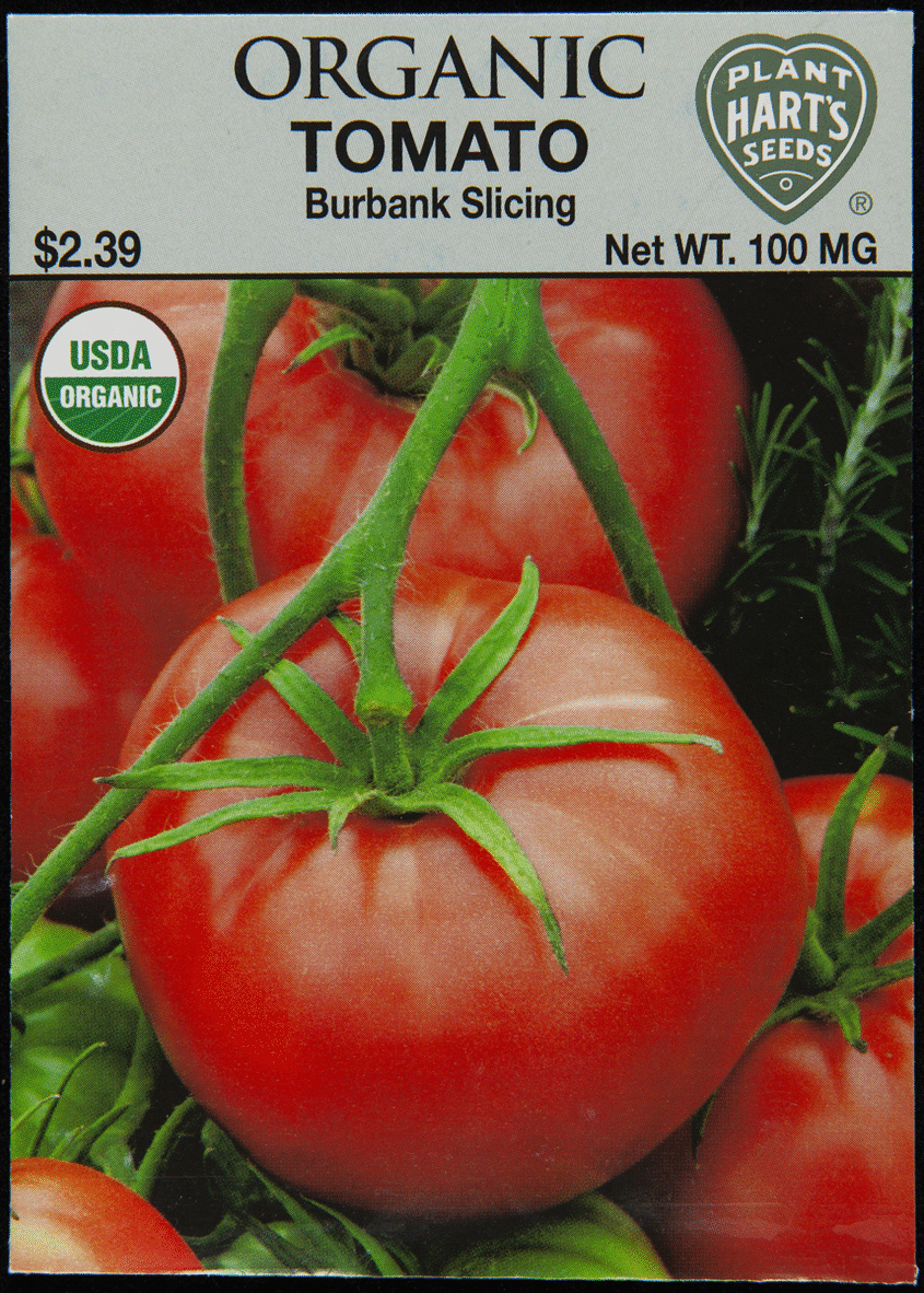 Charles C. Hart Seed Company "Burbank Slicing Tomato" Seed Packet, circa 2018 Seed packet with photo of tomato on front and text on back
