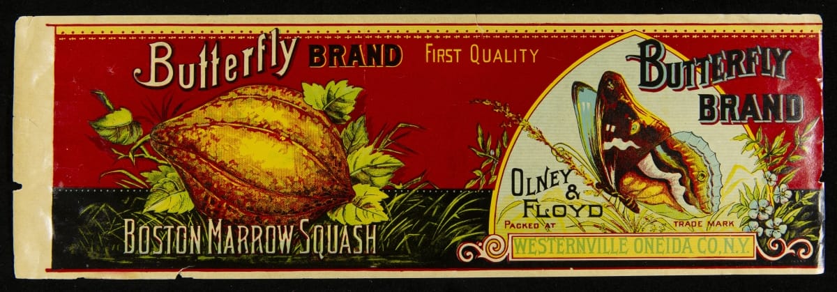 Can Label, "Butterfly Brand Boston Marrow Squash," 1890-1920 Red can label with image of butterfly and bulbous yellow squash; also contains text