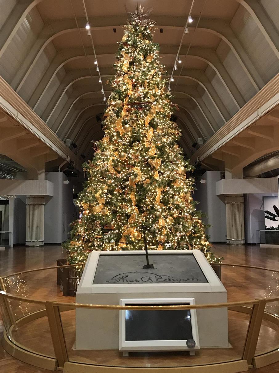 2020 Christmas Tree Tall Christmas tree decorated with golden ribbon and white lights, behind an elevated concrete platform