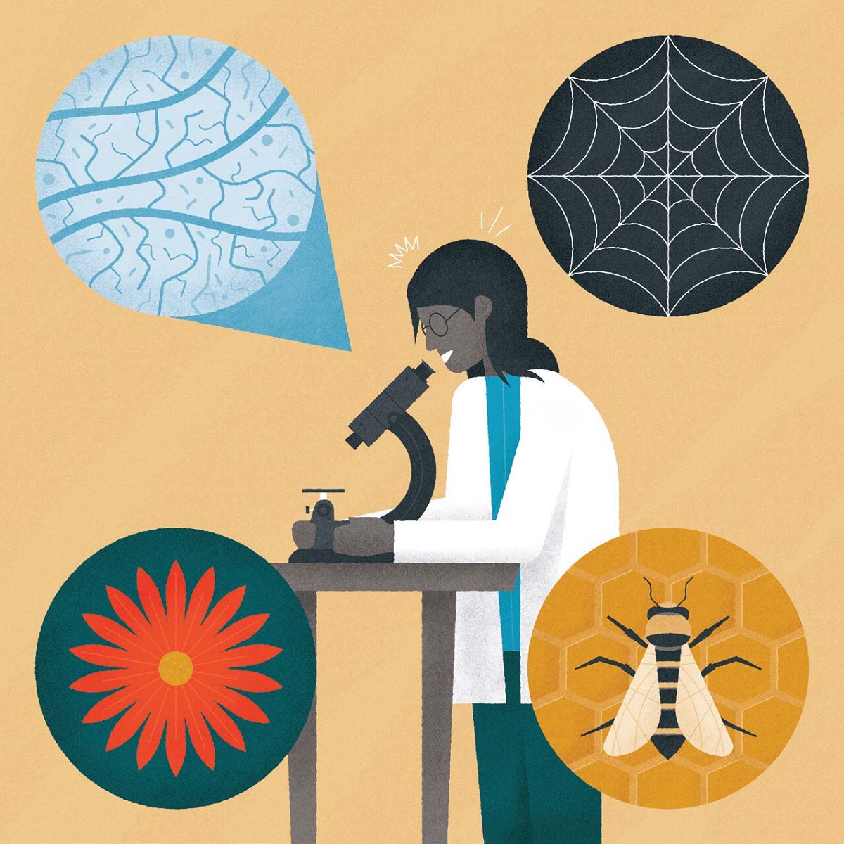 Illustration of person in labcoat working at microscope with insets showing a spiderweb, a flower, a bee, and a plant or animal microscopic detail