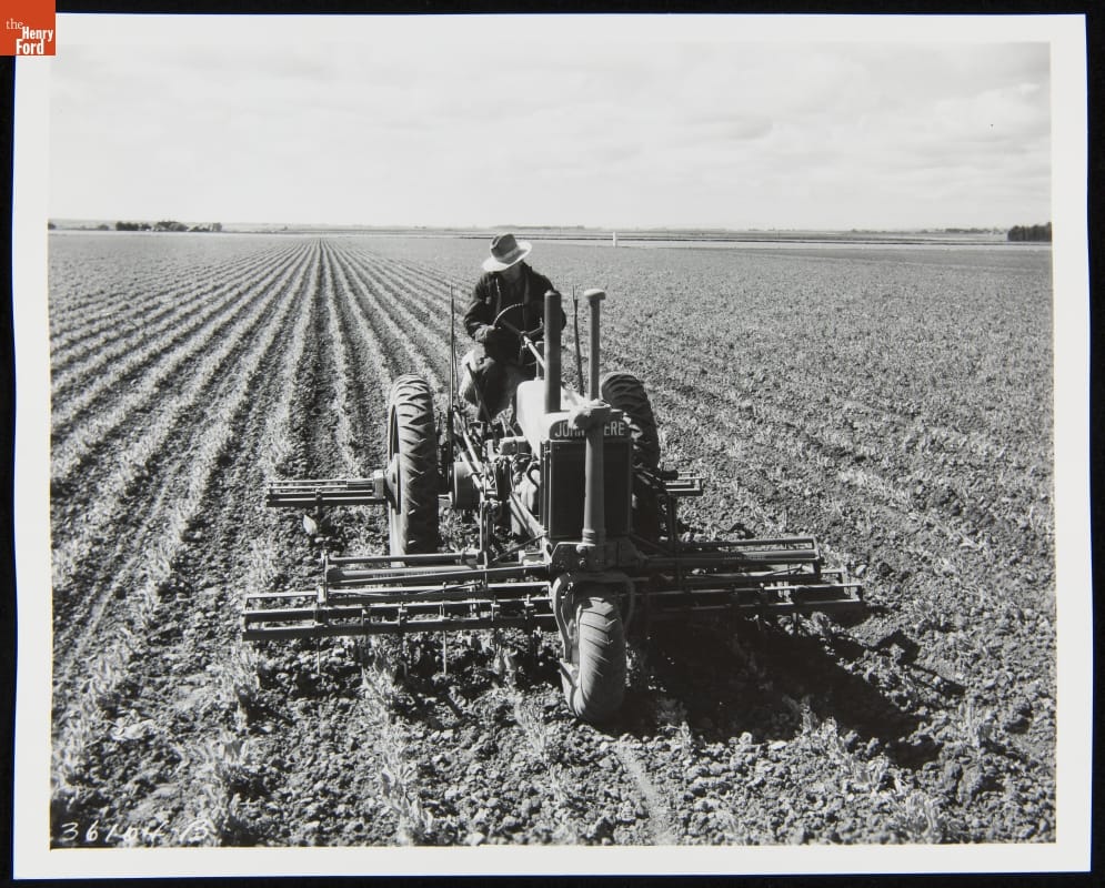 Black-and-white photo of man riding tractor through very large field filled with small plants