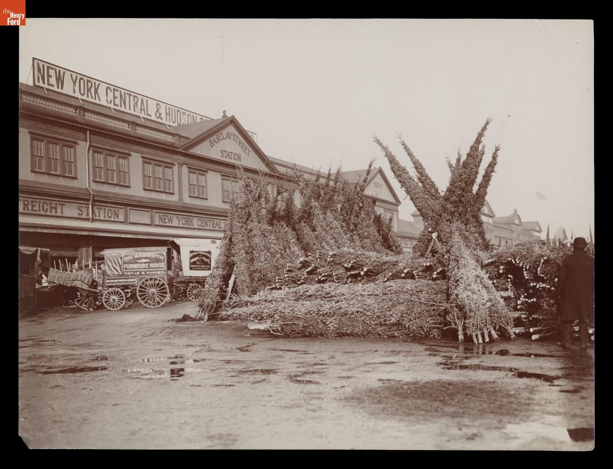 Christmas Tree Market, New York City, circa 1903 Black-and-white photo of evergreen trees bundled and leaned against each other outside a large building
