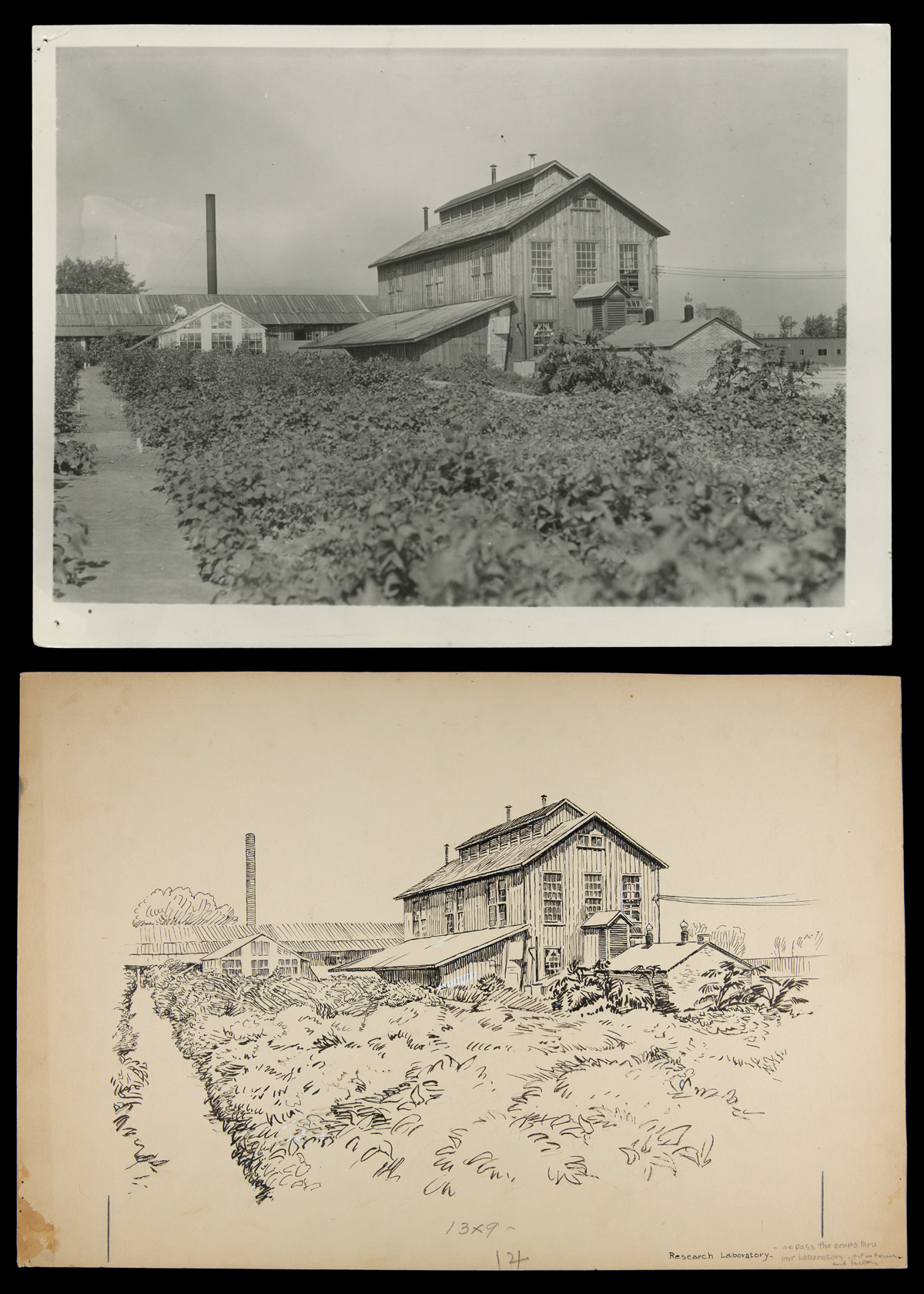 Soybean Laboratory in Greenfield Village