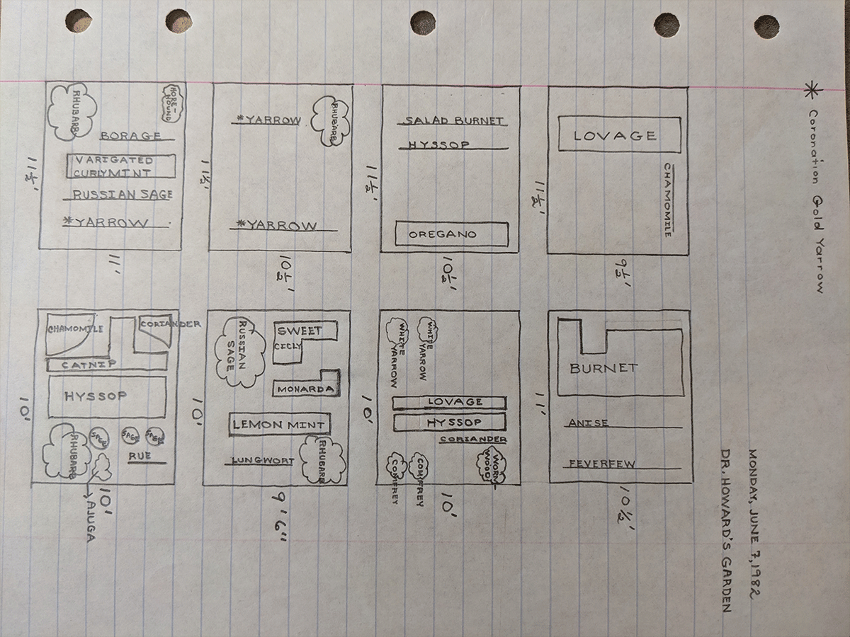 A hand-drawn map on graph paper