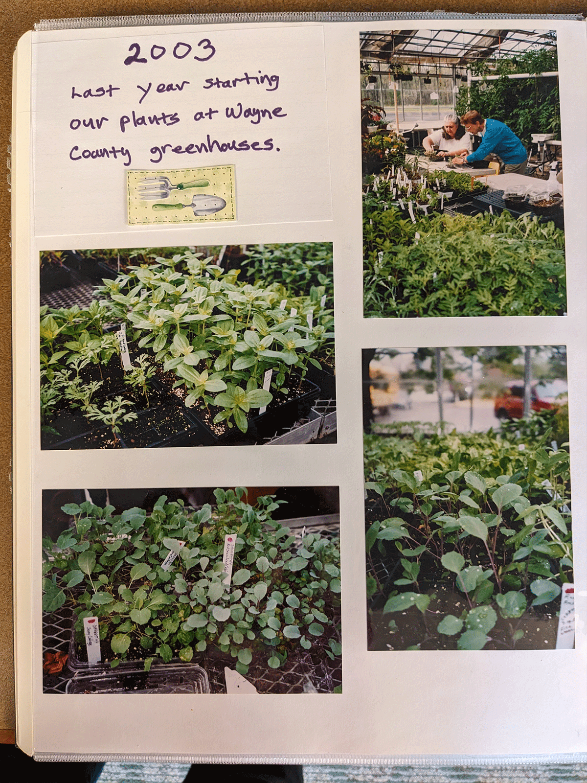 Four photos of plants on a scrapbook page