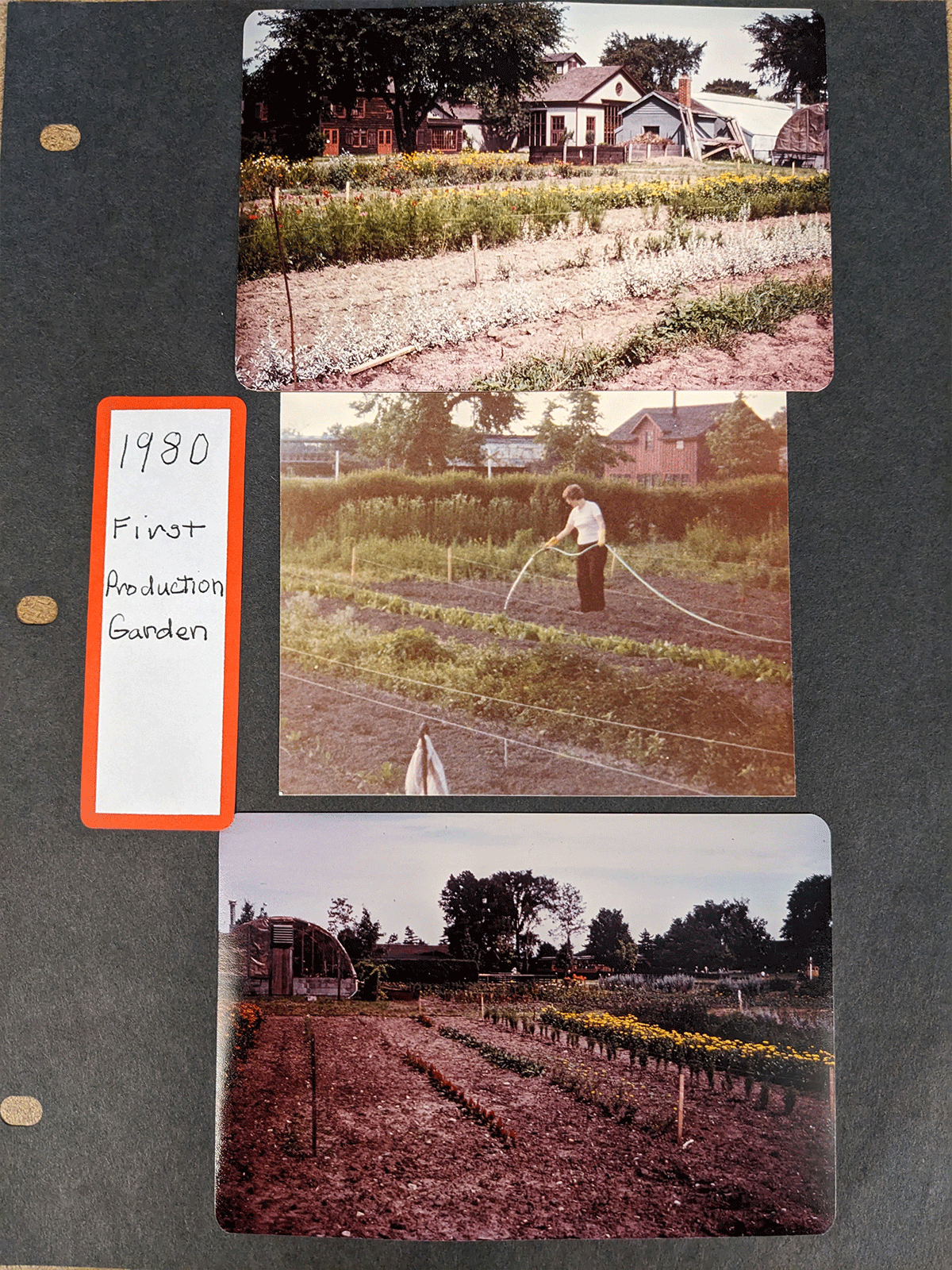 Three photos in a scrapbook style showing gardens in Greenfield Village