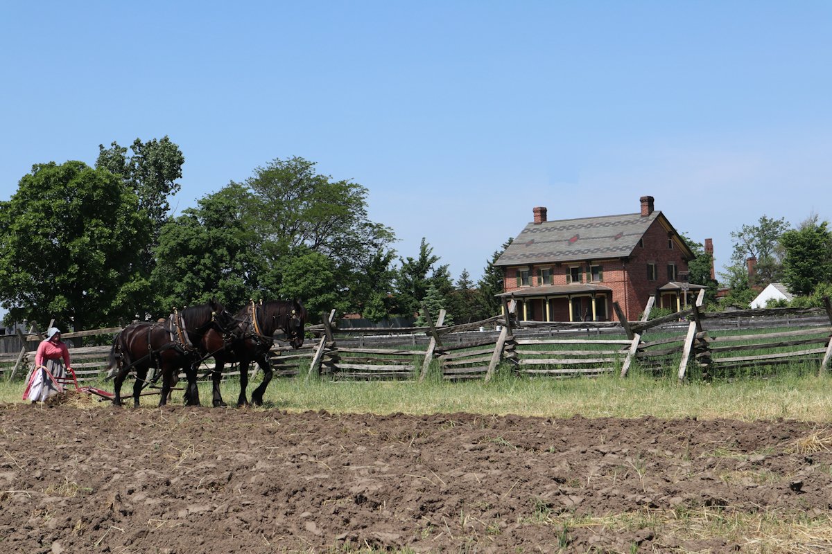 Firestone Farm Field